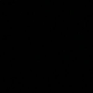 Meet your Posher, Anabel